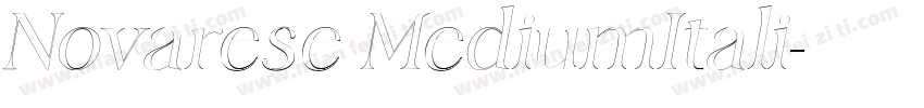 Novarese MediumItali字体转换